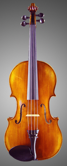 photo of viola