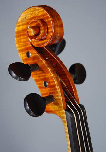 photo de violon tete