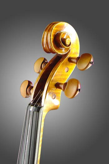 photo of violin